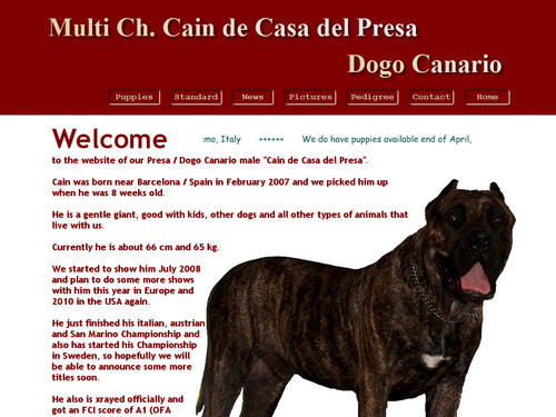 Dogo (Presa) Canario Ch. 