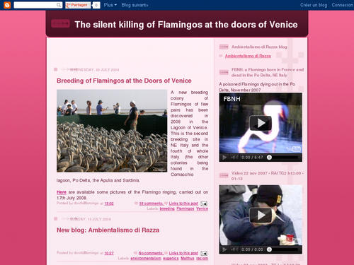 The silent killing of Flamingos at the doors of Venice