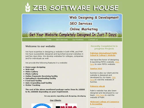 Web Designing & Developing