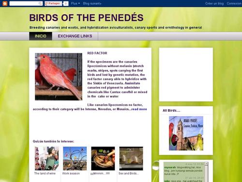 Birds of the Penedes