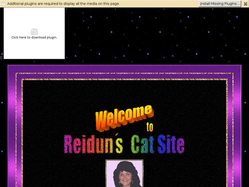 Reidun's Cat Site
