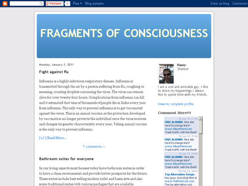 Fragments of Consciousness