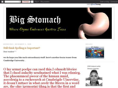 BIg Stomach Blog