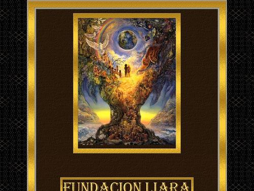 Fundación Liara