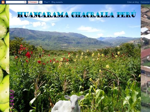 Chacralla Amaycca