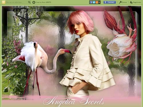 Angelica Secrets