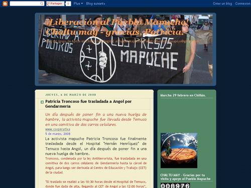 Grupo de apoyo al Pueblo Mapuche en Chillán