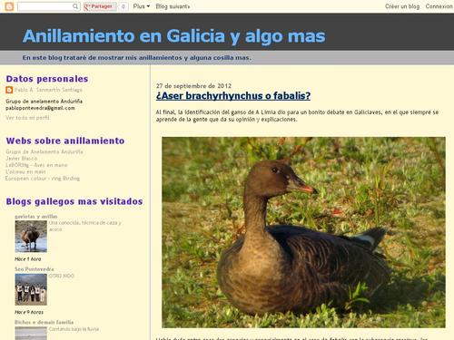 Anillamiento de aves en Galicia y algo mas