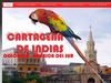 Cartagena de indias web