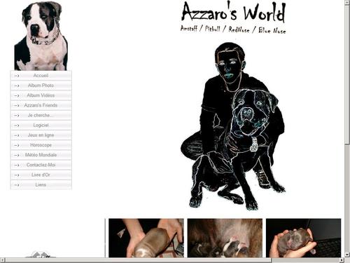 Azzaro's World - Amstaff dog