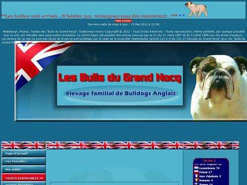 bulldog-anglais du Grand Nocq
