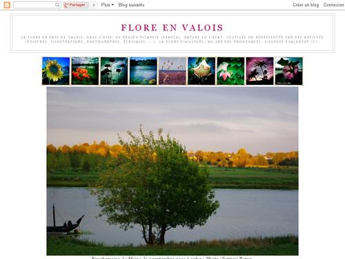 Flore en Valois