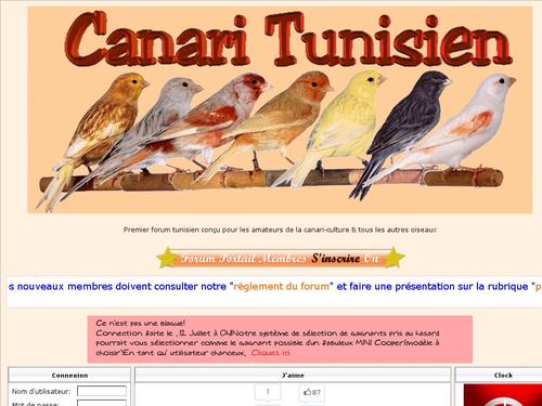 Canari Tunisien