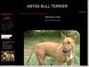 Abyss bull terrier