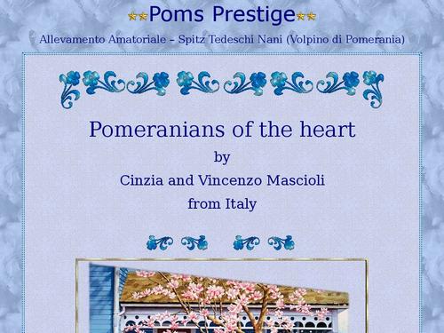 Poms Prestige Spitz di Pomerania