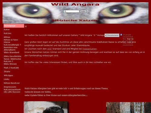 Wild Angara + Aurea Gemini Sibirische Katzen