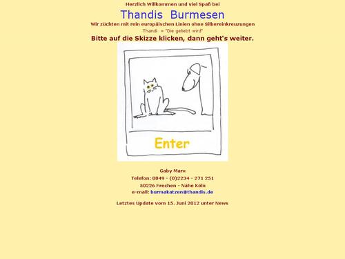Burmakatzen Thandis