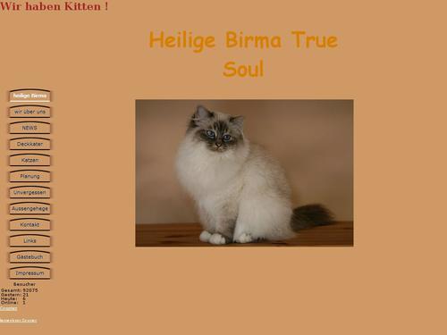 of True Soul heilige Birmakatzen
