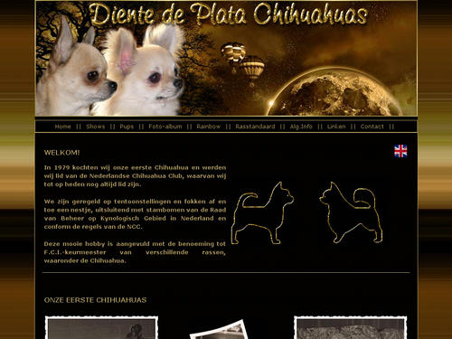 Chihuahuas Netherlands