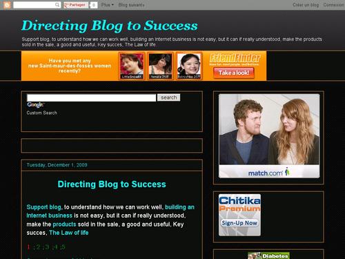 Directing blog to success
