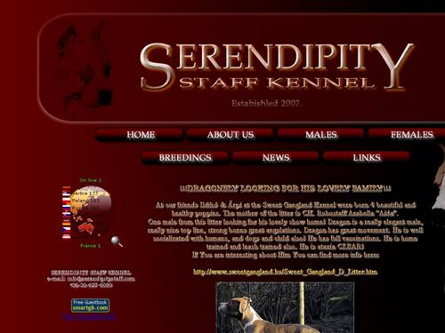 Serendipity Staff Kennel