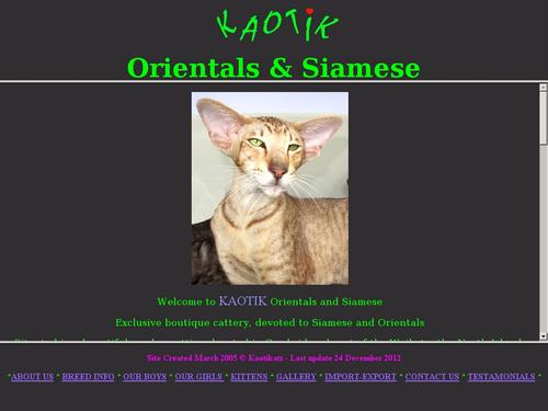 Kaotik Orientals and Siamese 