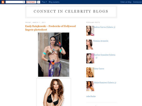 Connect In Celebrity Blogs