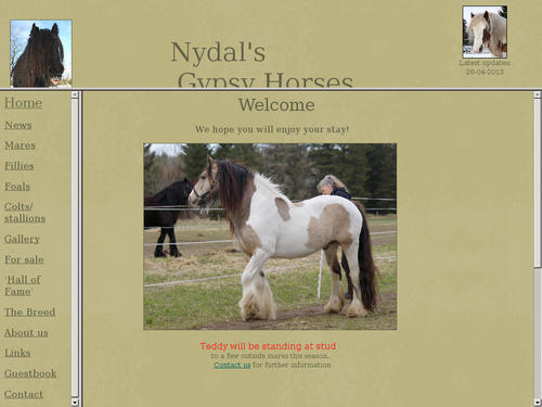Gypsy Horses/Gypsy Cobs