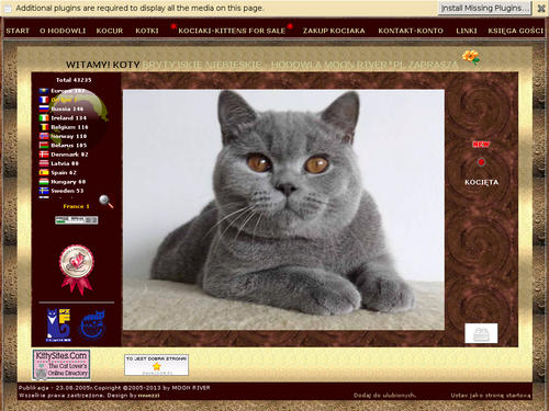 British Shorthair Cats - Cattery MOON RIVER 