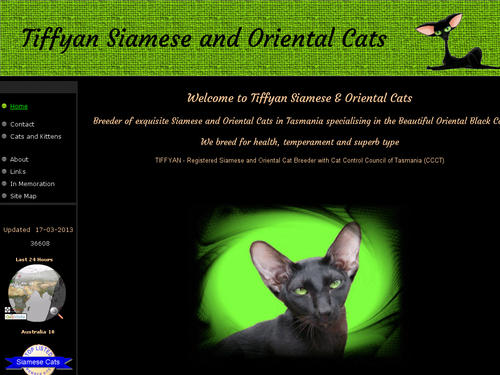 Tiffyan Siamese and Oriental Cats