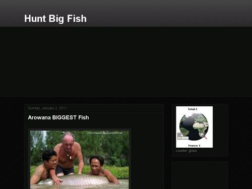 Hunt Big Fish 