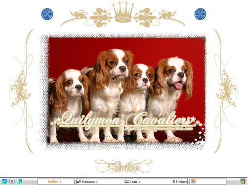 Quilymon Cavalier King Charles Spaniel Kennel