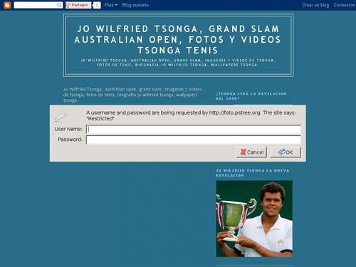 Jo Wilfried Tsonga, grand slam australian open, fotos y videos tsonga tenis