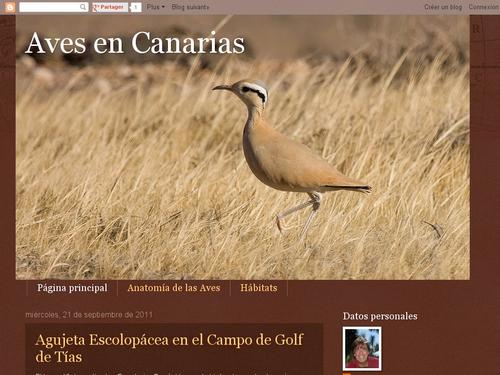 Aves en Canarias