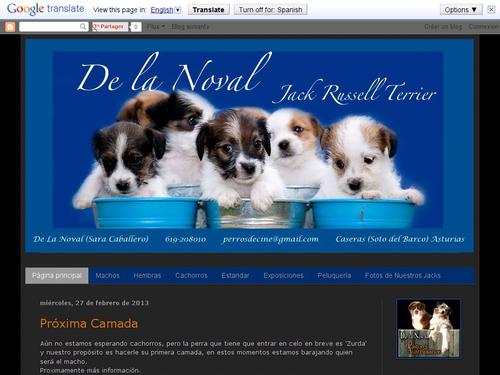 Cannatura Jack Russell Terrier
