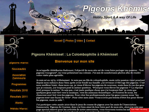 pigeons khemisset