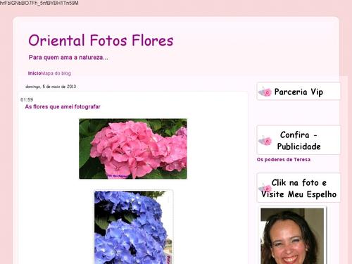 Fotos Flores